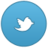 twitter Icon